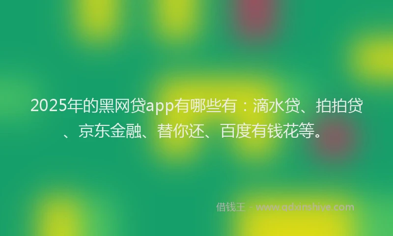 2025年的黑网贷app有哪些有：滴水贷、拍拍贷、京东金融、替你还、百度有钱花等。