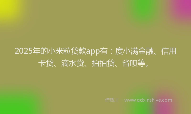 2025年的小米粒贷款app有：度小满金融、信用卡贷、滴水贷、拍拍贷、省呗等。