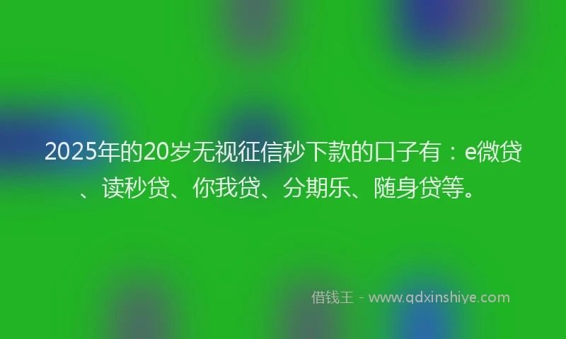 2025年的20岁无视征信秒下款的口子有：e微贷、读秒贷、你我贷、分期乐、随身贷等。