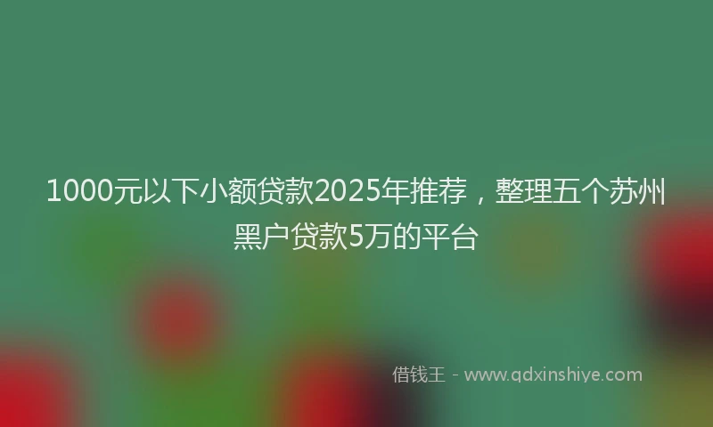 1000元以下小额贷款2025年推荐，整理五个苏州黑户贷款5万的平台