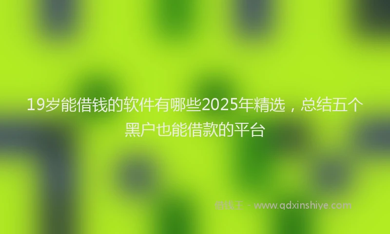 19岁能借钱的软件有哪些2025年精选，总结五个黑户也能借款的平台