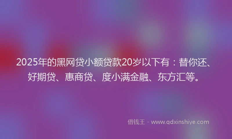 2025年的黑网贷小额贷款20岁以下有：替你还、好期贷、惠商贷、度小满金融、东方汇等。