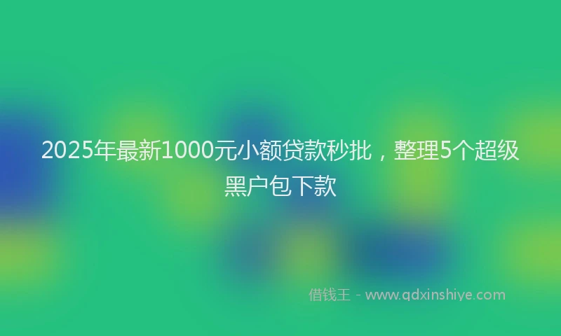 2025年最新1000元小额贷款秒批，整理5个超级黑户包下款