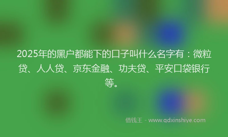 2025年的黑户都能下的口子叫什么名字有：微粒贷、人人贷、京东金融、功夫贷、平安口袋银行等。