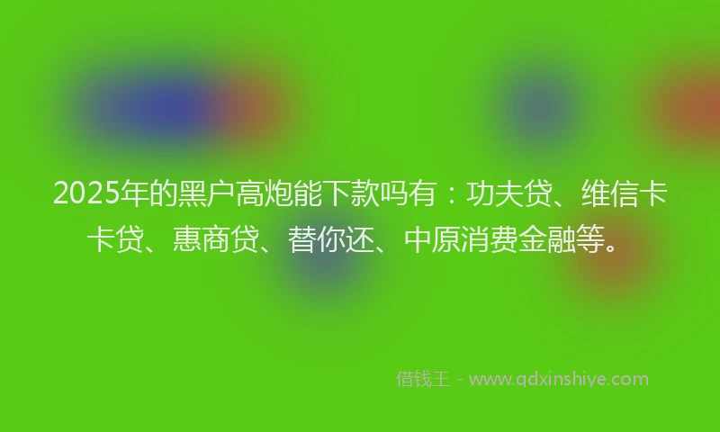 2025年的黑户高炮能下款吗有：功夫贷、维信卡卡贷、惠商贷、替你还、中原消费金融等。