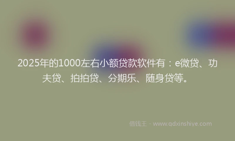 2025年的1000左右小额贷款软件有：e微贷、功夫贷、拍拍贷、分期乐、随身贷等。