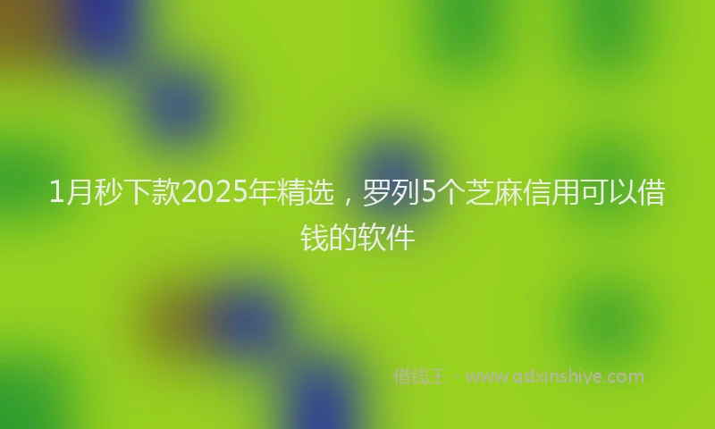 1月秒下款2025年精选，罗列5个芝麻信用可以借钱的软件