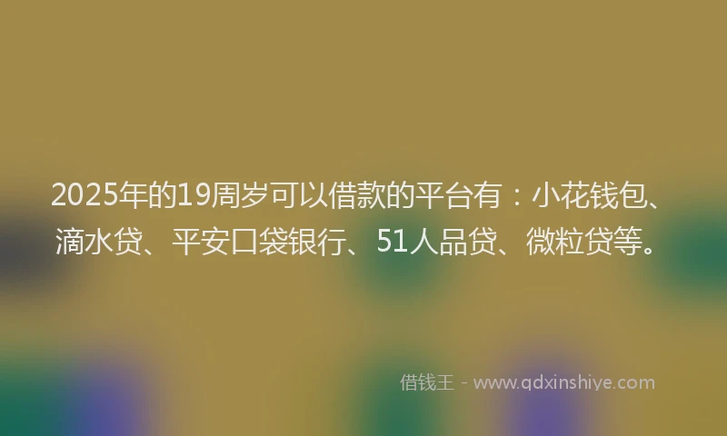 2025年的19周岁可以借款的平台有：小花钱包、滴水贷、平安口袋银行、51人品贷、微粒贷等。
