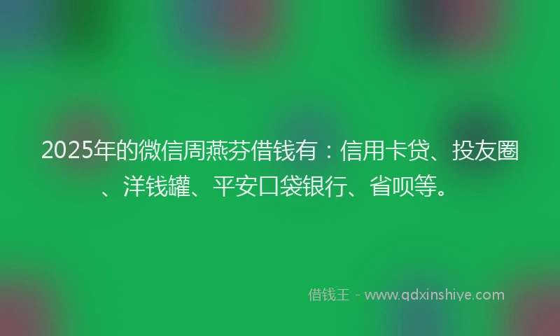 2025年的微信周燕芬借钱有：信用卡贷、投友圈、洋钱罐、平安口袋银行、省呗等。