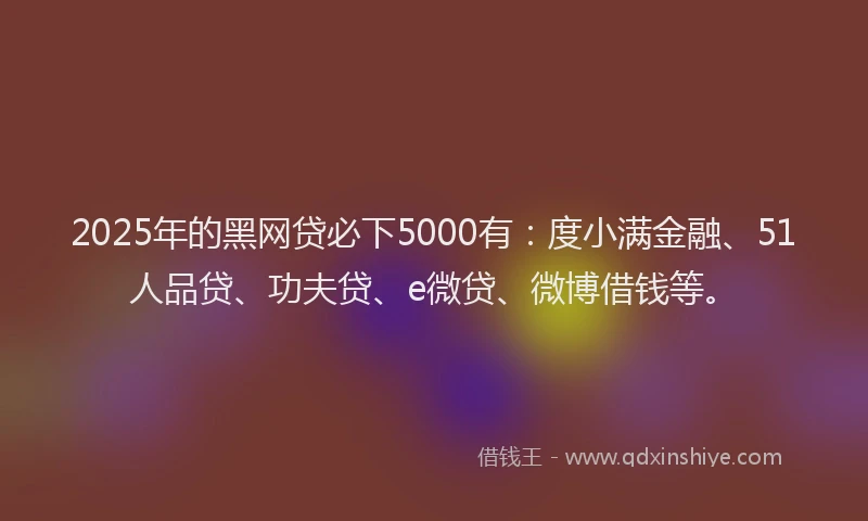 2025年的黑网贷必下5000有：度小满金融、51人品贷、功夫贷、e微贷、微博借钱等。