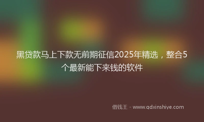 黑贷款马上下款无前期征信2025年精选，整合5个最新能下来钱的软件