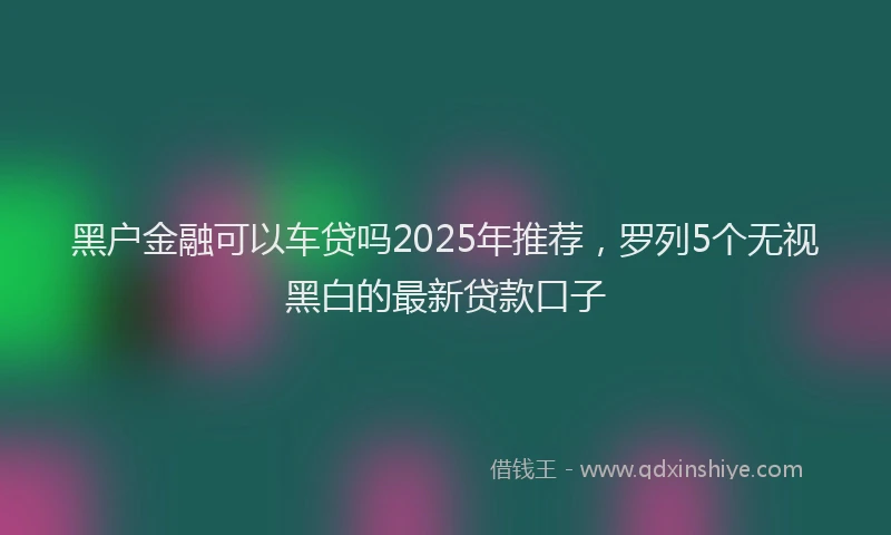 黑户金融可以车贷吗2025年推荐，罗列5个无视黑白的最新贷款口子