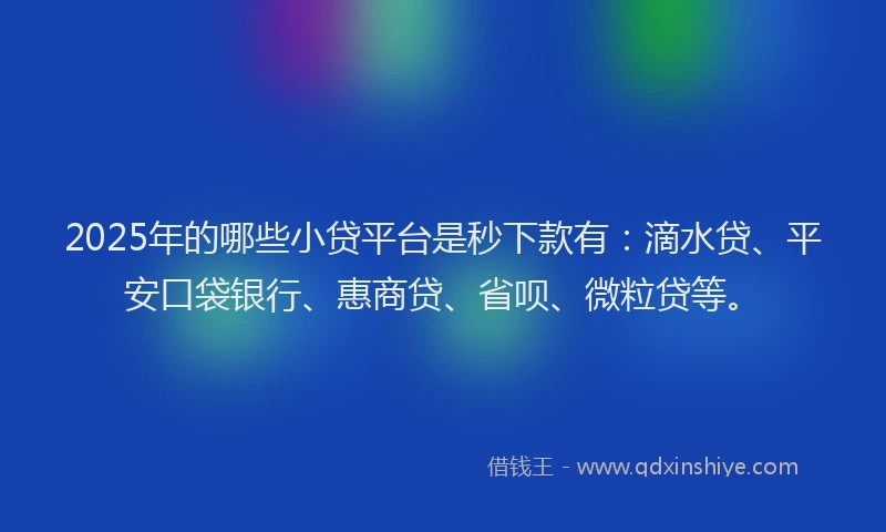 2025年的哪些小贷平台是秒下款有：滴水贷、平安口袋银行、惠商贷、省呗、微粒贷等。