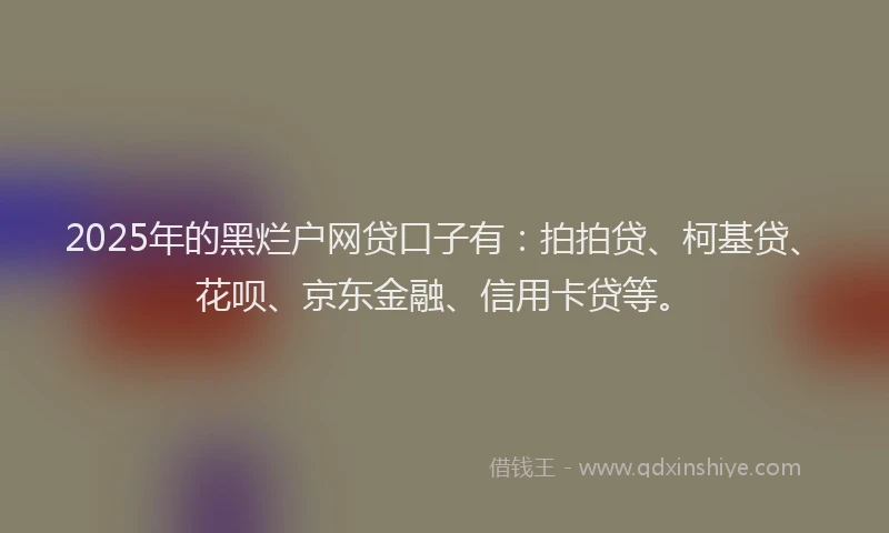 2025年的黑烂户网贷口子有：拍拍贷、柯基贷、花呗、京东金融、信用卡贷等。