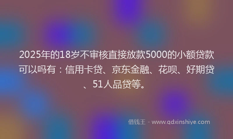 2025年的18岁不审核直接放款5000的小额贷款可以吗有：信用卡贷、京东金融、花呗、好期贷、51人品贷等。