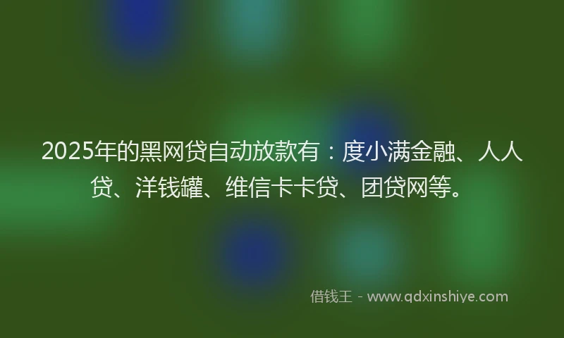 2025年的黑网贷自动放款有：度小满金融、人人贷、洋钱罐、维信卡卡贷、团贷网等。