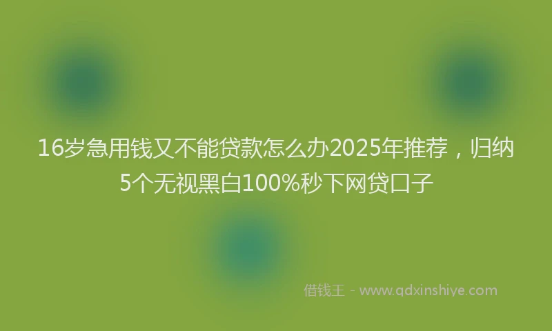 16岁急用钱又不能贷款怎么办2025年推荐，归纳5个无视黑白100%秒下网贷口子