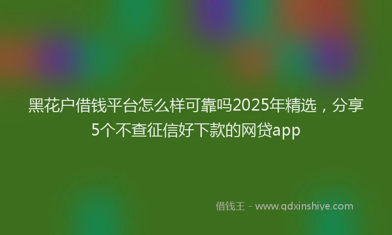 黑花户借钱平台怎么样可靠吗2025年精选，分享5个不查征信好下款的网贷app