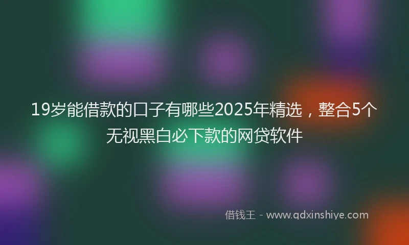 19岁能借款的口子有哪些2025年精选，整合5个无视黑白必下款的网贷软件