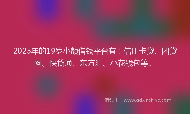 2025年的19岁小额借钱平台有：信用卡贷、团贷网、快贷通、东方汇、小花钱包等。