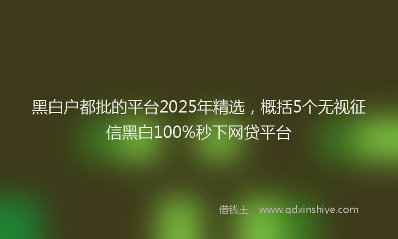 黑白户都批的平台2025年精选，概括5个无视征信黑白100%秒下网贷平台