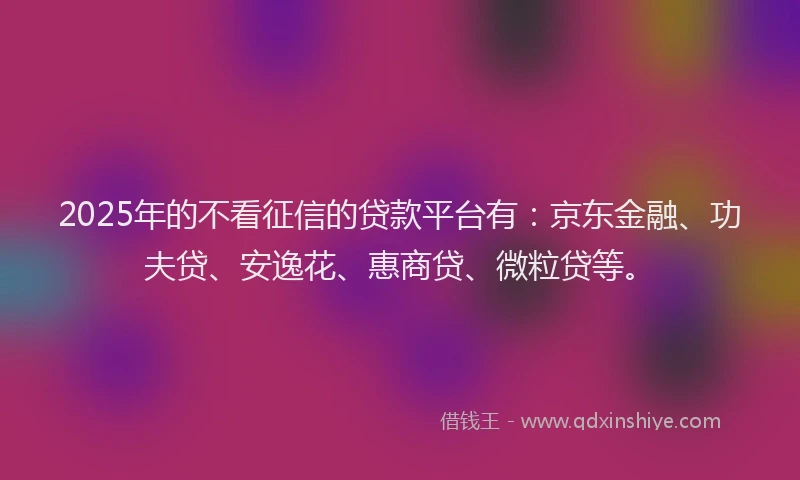 2025年的不看征信的贷款平台有：京东金融、功夫贷、安逸花、惠商贷、微粒贷等。