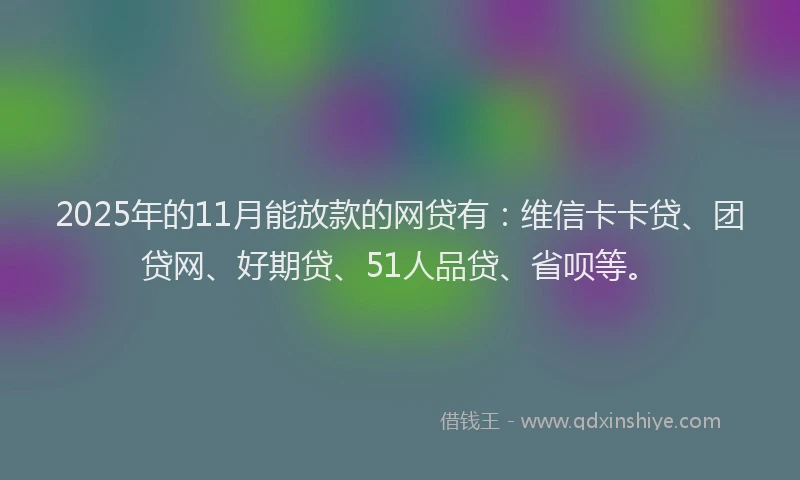 2025年的11月能放款的网贷有：维信卡卡贷、团贷网、好期贷、51人品贷、省呗等。