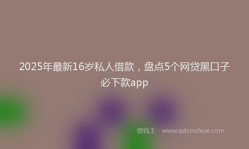 2025年最新16岁私人借款，盘点5个网贷黑口子必下款app