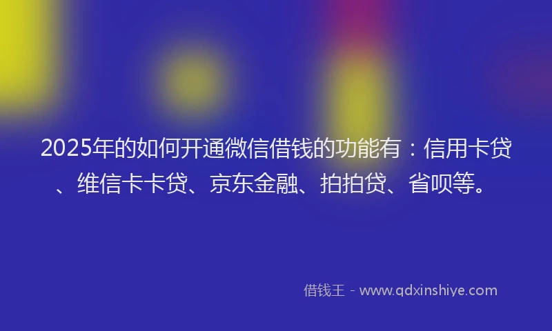 2025年的如何开通微信借钱的功能有：信用卡贷、维信卡卡贷、京东金融、拍拍贷、省呗等。