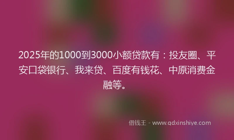 2025年的1000到3000小额贷款有：投友圈、平安口袋银行、我来贷、百度有钱花、中原消费金融等。