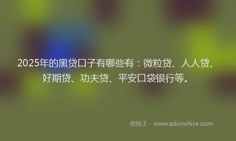 2025年的黑贷口子有哪些有：微粒贷、人人贷、好期贷、功夫贷、平安口袋银行等。