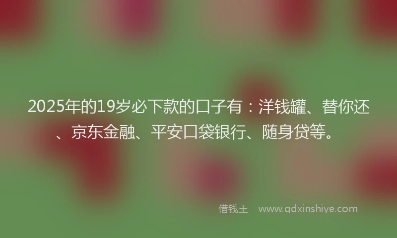 2025年的19岁必下款的口子有：洋钱罐、替你还、京东金融、平安口袋银行、随身贷等。