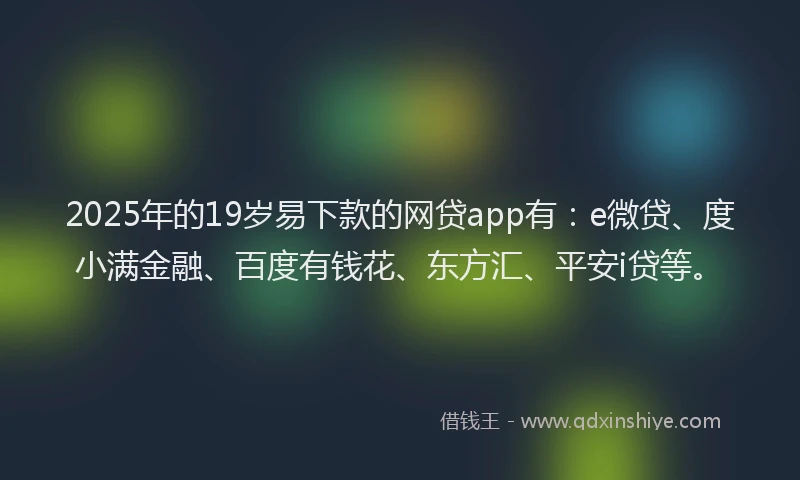 2025年的19岁易下款的网贷app有：e微贷、度小满金融、百度有钱花、东方汇、平安i贷等。