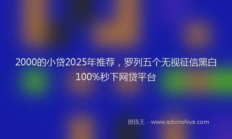 2000的小贷2025年推荐，罗列五个无视征信黑白100%秒下网贷平台