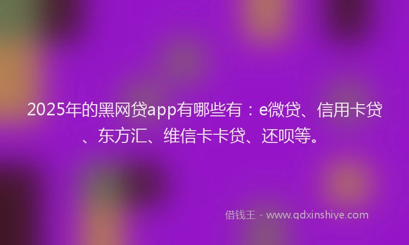 2025年的黑网贷app有哪些有：e微贷、信用卡贷、东方汇、维信卡卡贷、还呗等。