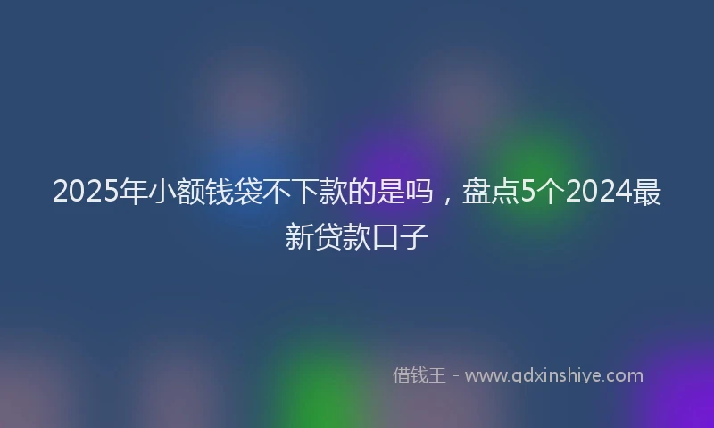 2025年小额钱袋不下款的是吗，盘点5个2024最新贷款口子
