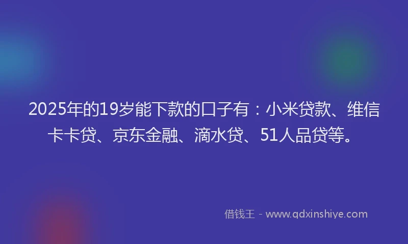 2025年的19岁能下款的口子有：小米贷款、维信卡卡贷、京东金融、滴水贷、51人品贷等。