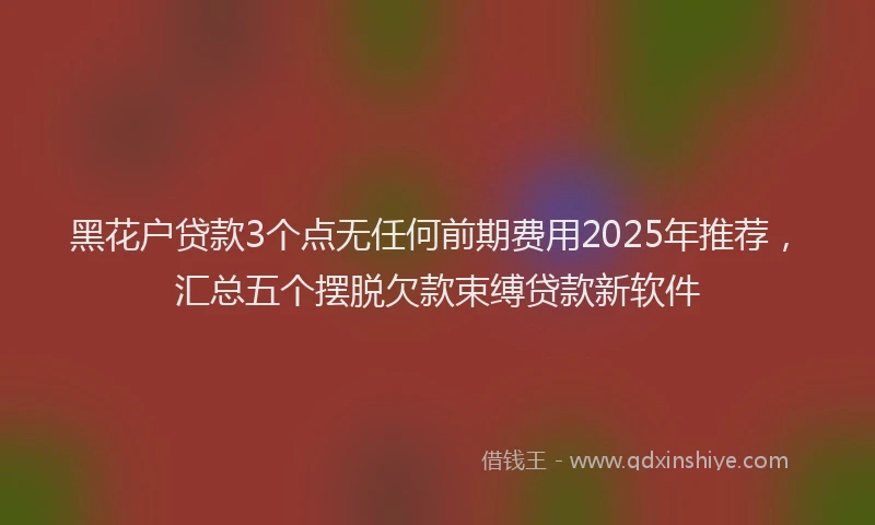 黑花户贷款3个点无任何前期费用2025年推荐，汇总五个摆脱欠款束缚贷款新软件