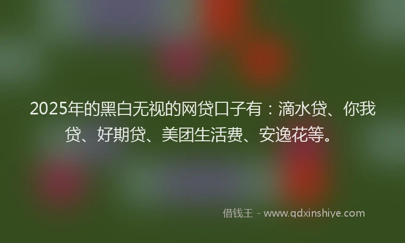 2025年的黑白无视的网贷口子有：滴水贷、你我贷、好期贷、美团生活费、安逸花等。