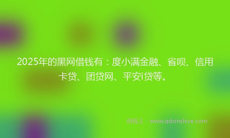 2025年的黑网借钱有：度小满金融、省呗、信用卡贷、团贷网、平安i贷等。