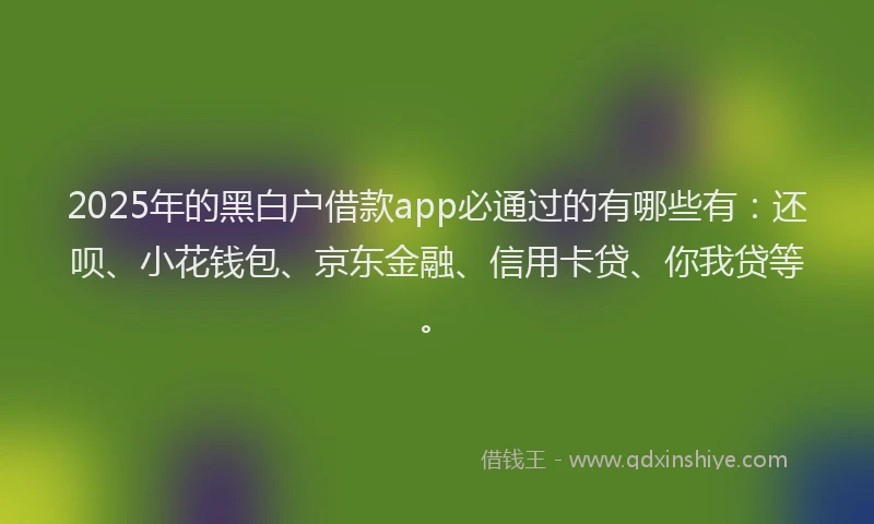 2025年的黑白户借款app必通过的有哪些有：还呗、小花钱包、京东金融、信用卡贷、你我贷等。