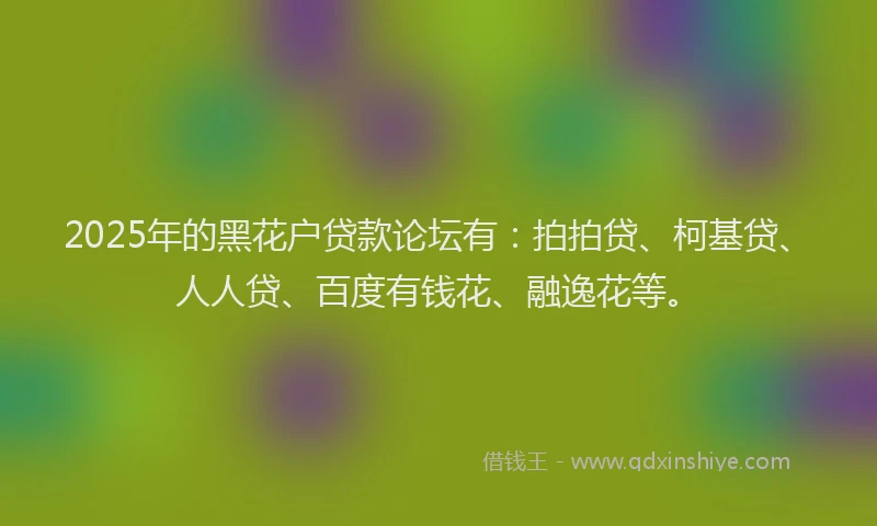 2025年的黑花户贷款论坛有：拍拍贷、柯基贷、人人贷、百度有钱花、融逸花等。