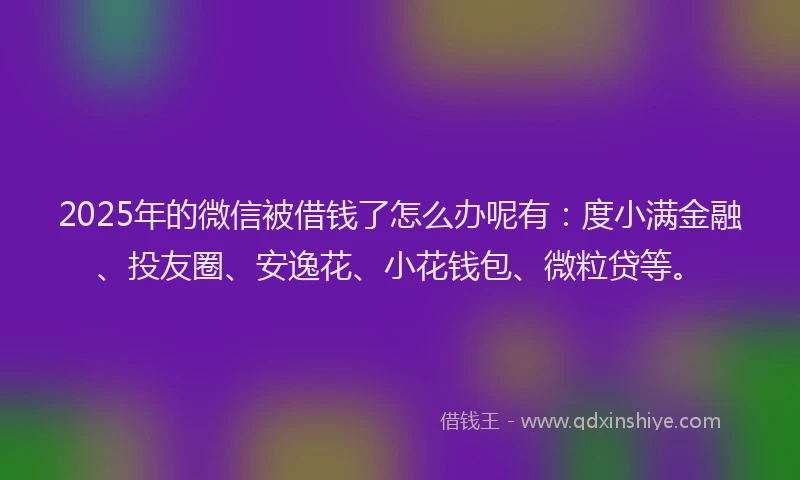 2025年的微信被借钱了怎么办呢有：度小满金融、投友圈、安逸花、小花钱包、微粒贷等。