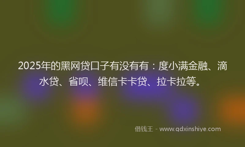 2025年的黑网贷口子有没有有：度小满金融、滴水贷、省呗、维信卡卡贷、拉卡拉等。