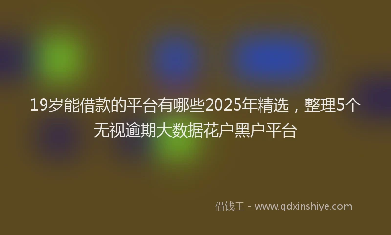 19岁能借款的平台有哪些2025年精选，整理5个无视逾期大数据花户黑户平台
