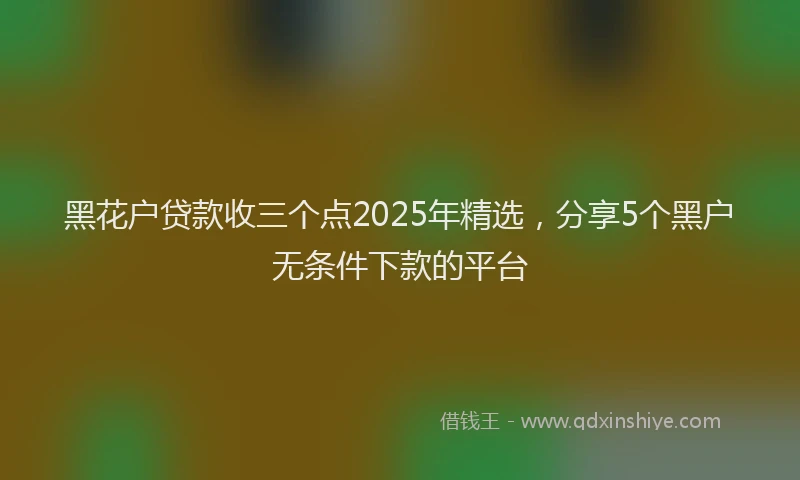黑花户贷款收三个点2025年精选，分享5个黑户无条件下款的平台