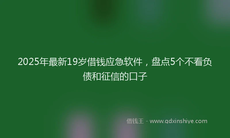 2025年最新19岁借钱应急软件，盘点5个不看负债和征信的口子