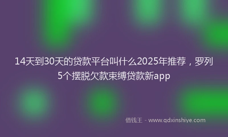 14天到30天的贷款平台叫什么2025年推荐，罗列5个摆脱欠款束缚贷款新app