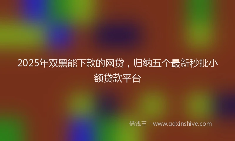 2025年双黑能下款的网贷，归纳五个最新秒批小额贷款平台
