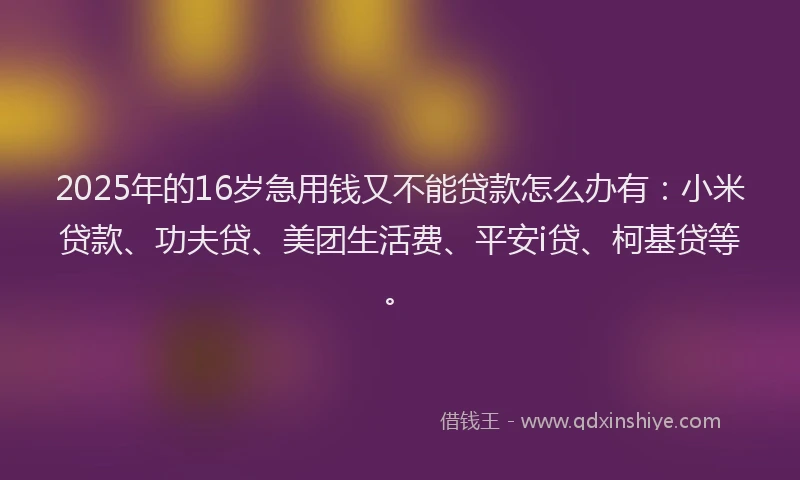 2025年的16岁急用钱又不能贷款怎么办有：小米贷款、功夫贷、美团生活费、平安i贷、柯基贷等。